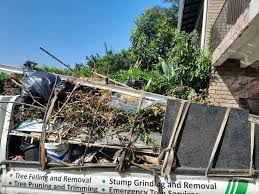 Same-Day Junk Removal Services in Sanborn, IA