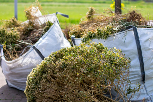 Professional Junk Removal Services in Sanborn, IA